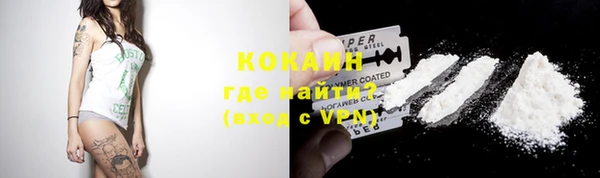 стафф Аркадак
