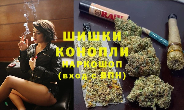 spice Арсеньев