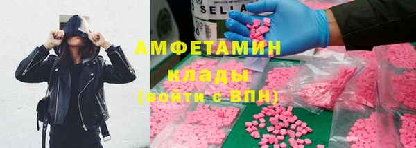 стафф Аркадак